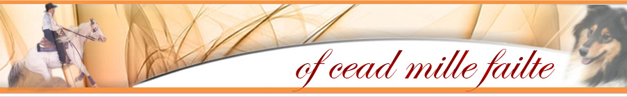 Cead Mille Failte