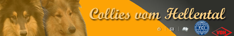 Collies vom Hellental