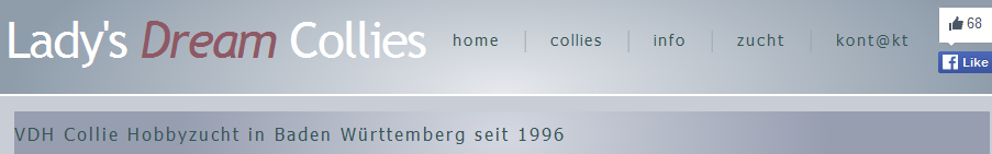 Collies of Lasdy's Dream