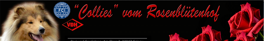 Collies vom Rosenblütenhof